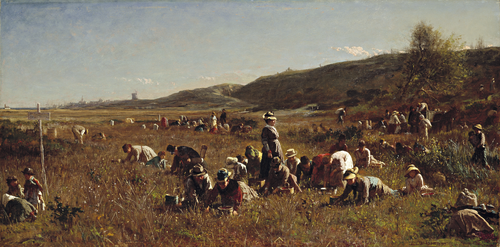 Full view of The Cranberry Harvest, Island of Nantucket